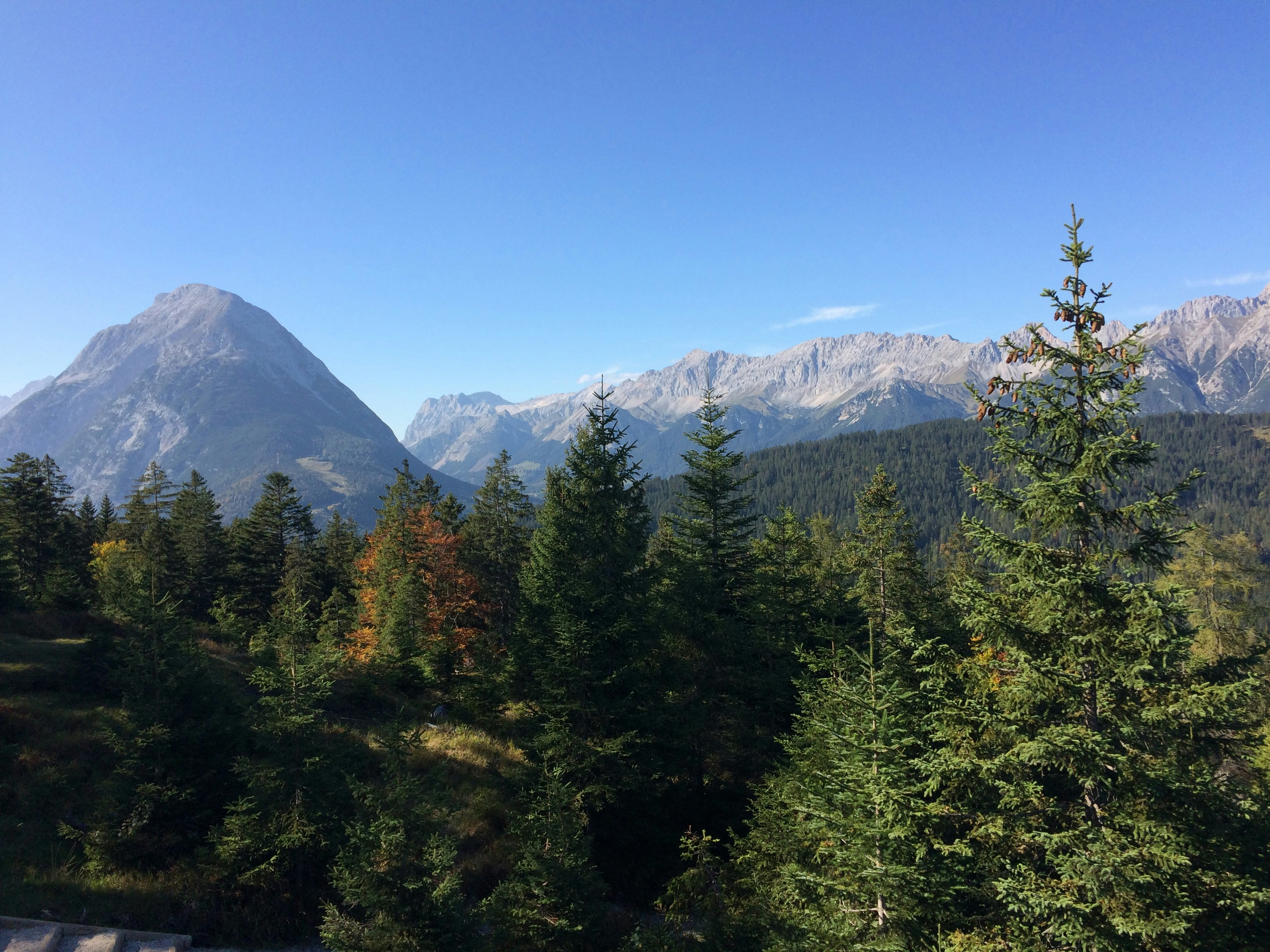 Alpbach im Sommer